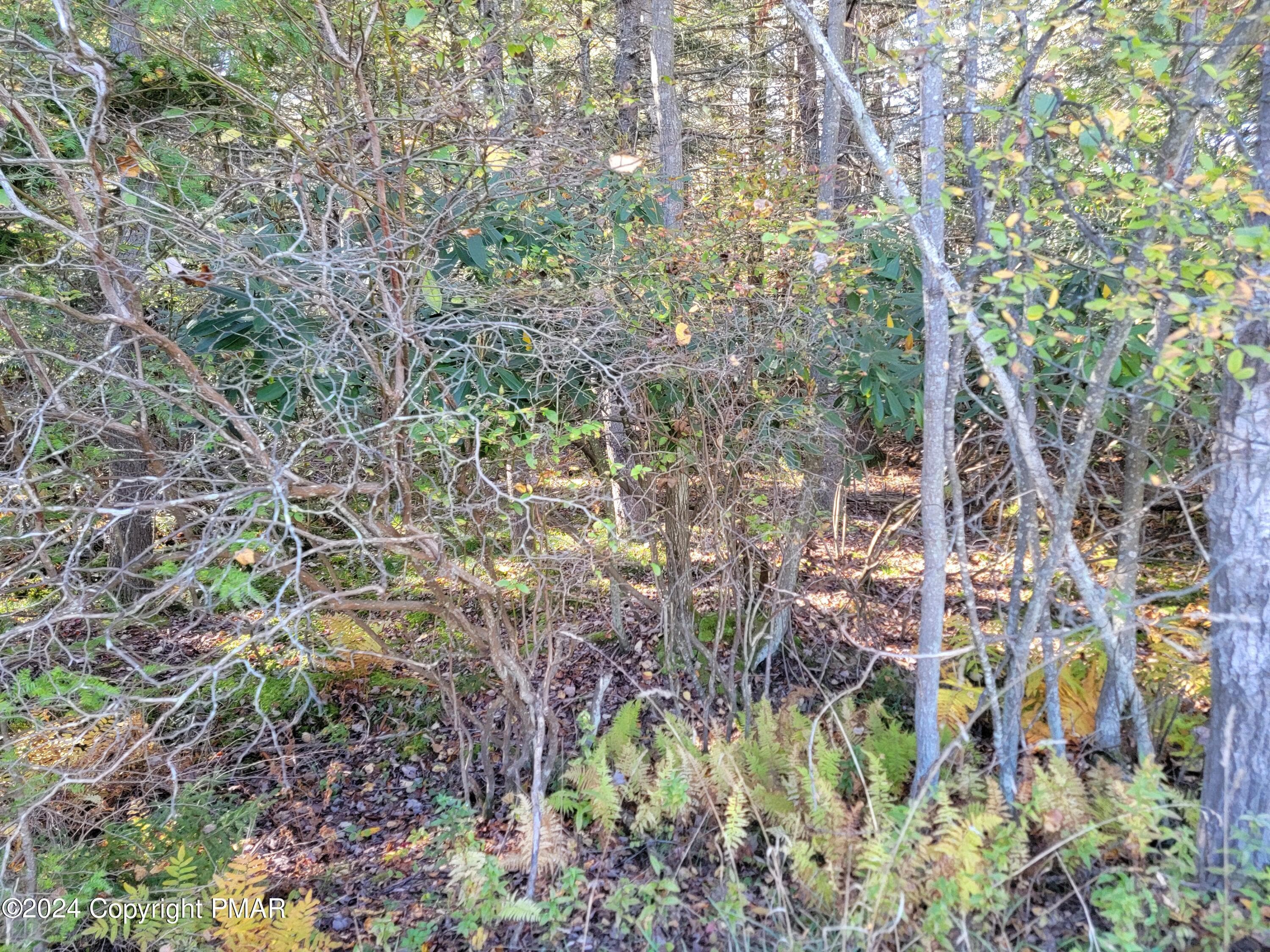 20241003_154307 - LOT 18& 19 Louis Lane, Gouldsboro, PA 18424, Gouldsboro