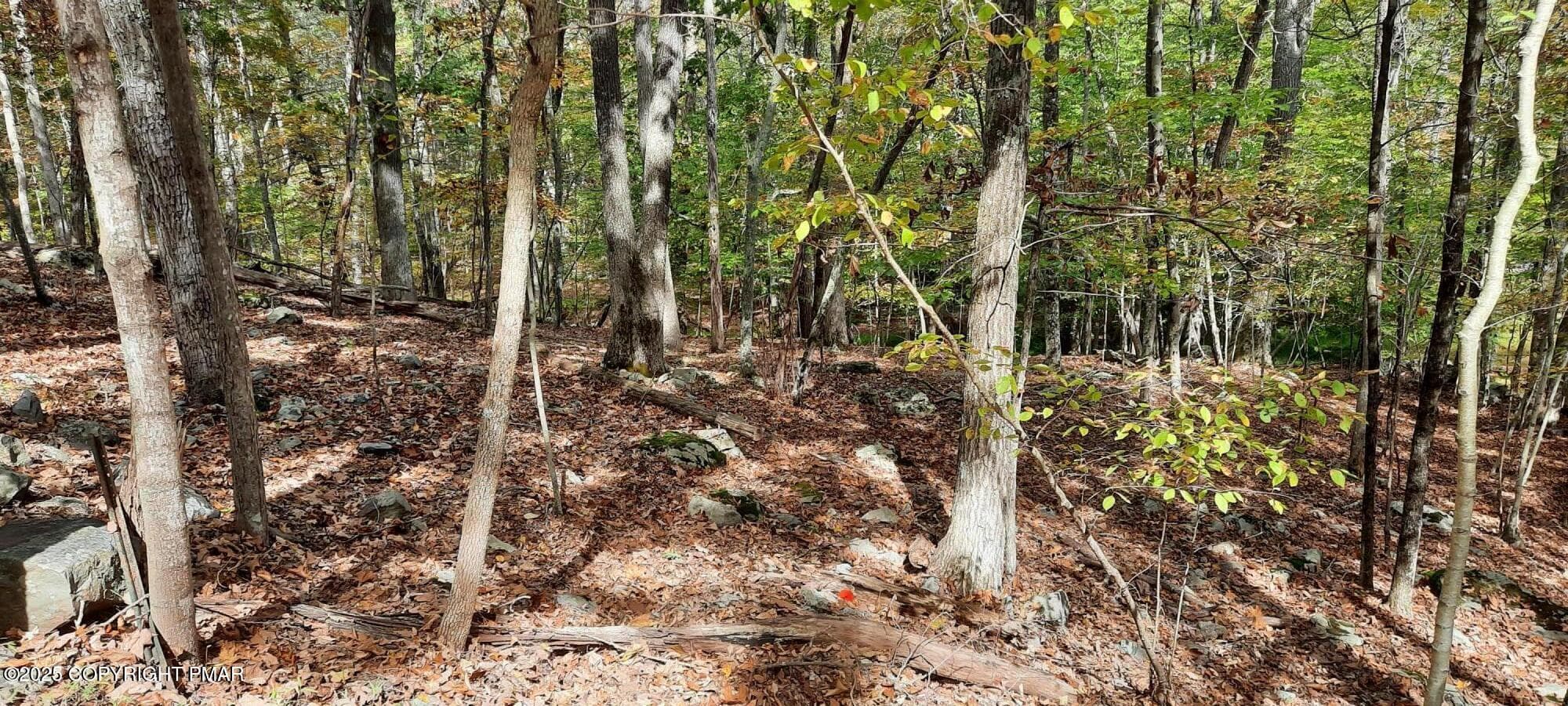 Decker Rd 5 - Lot 8 Sec 24 Decker Road, Bushkill, PA 18324, Bushkill