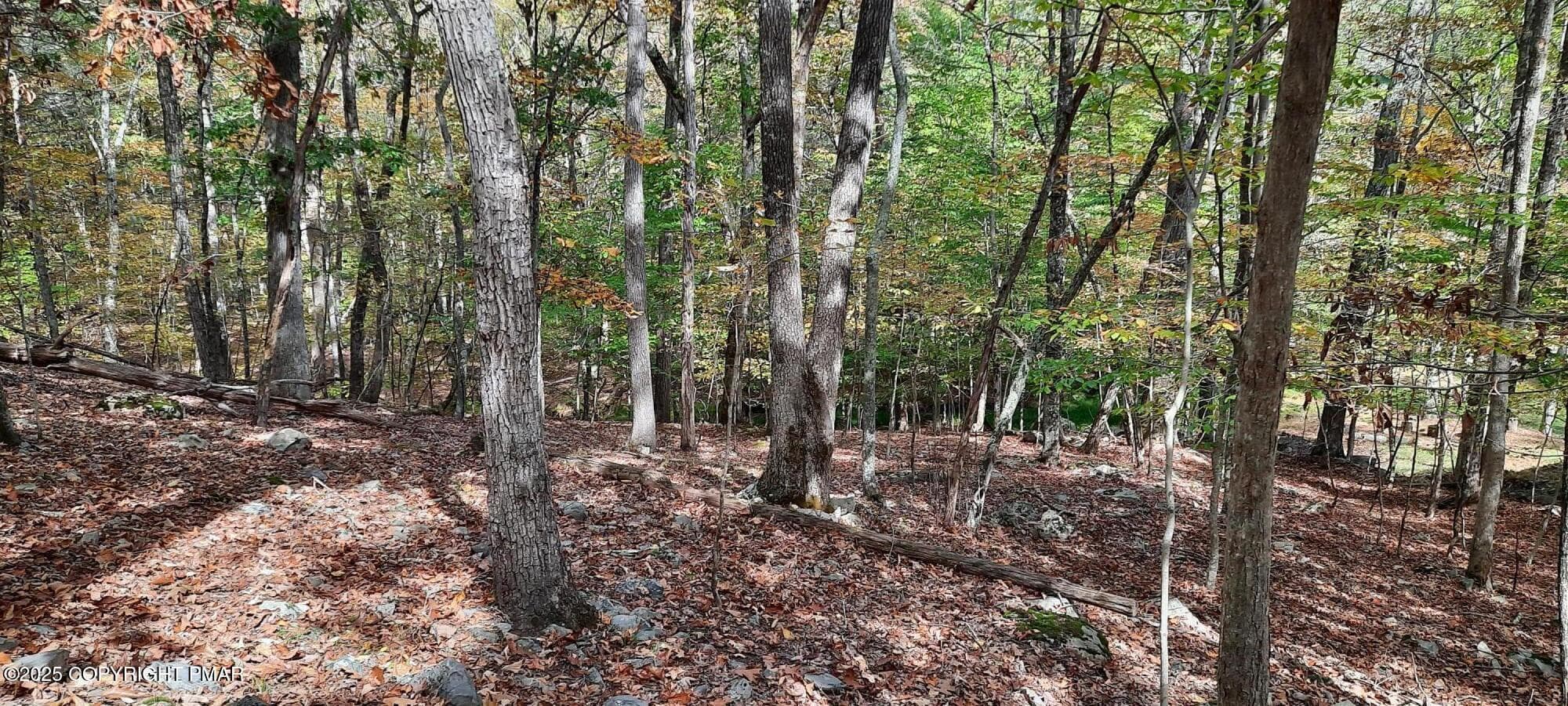 Decker Rd 4 - Lot 8 Sec 24 Decker Road, Bushkill, PA 18324, Bushkill