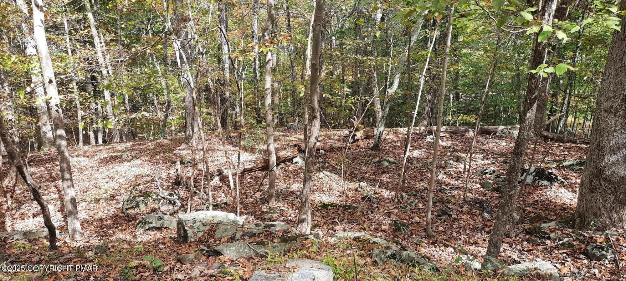 Decker Rd 3 - Lot 8 Sec 24 Decker Road, Bushkill, PA 18324, Bushkill