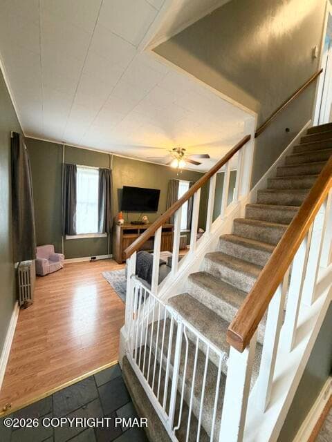 IMG_1673 - 38 W 2nd Street, Wind Gap, PA 18091, Wind Gap