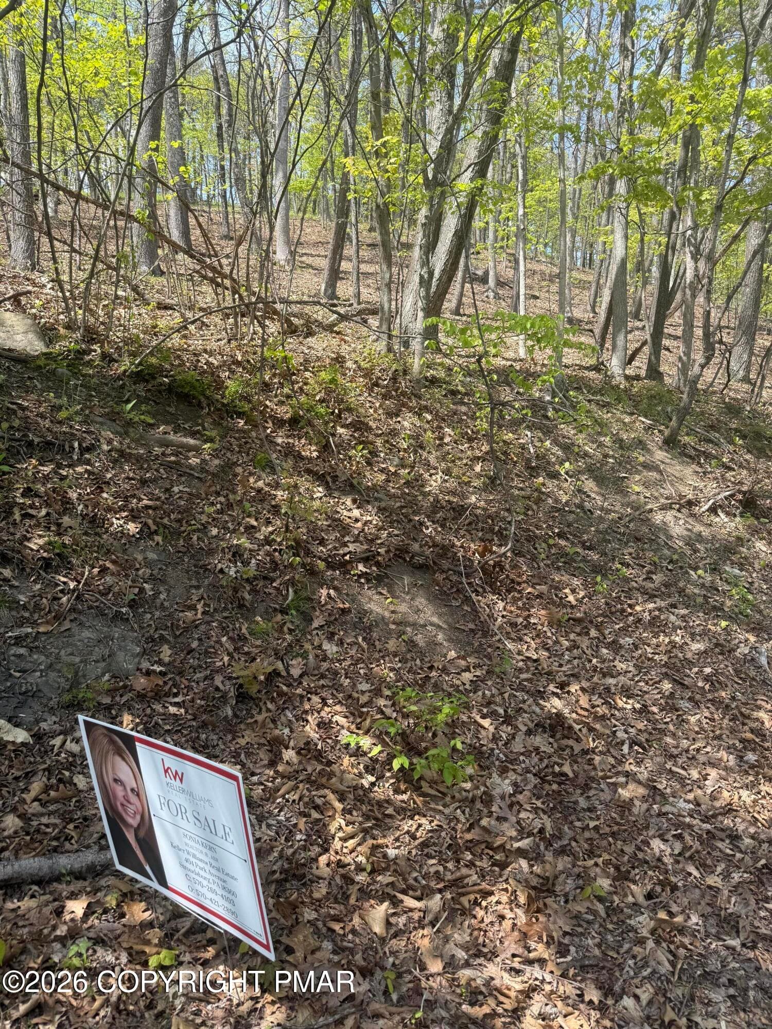 T 641 photo - T 641 Road, East Stroudsburg, PA 18301, East Stroudsburg