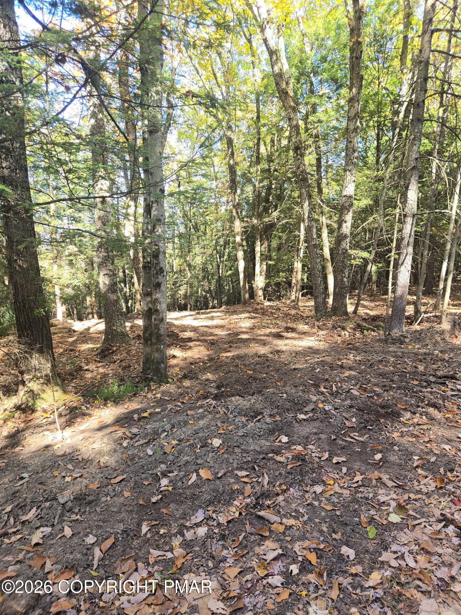 IMG_20261023_132406 - Turkey Ridge Dr 18, Kunkletown, PA 18058