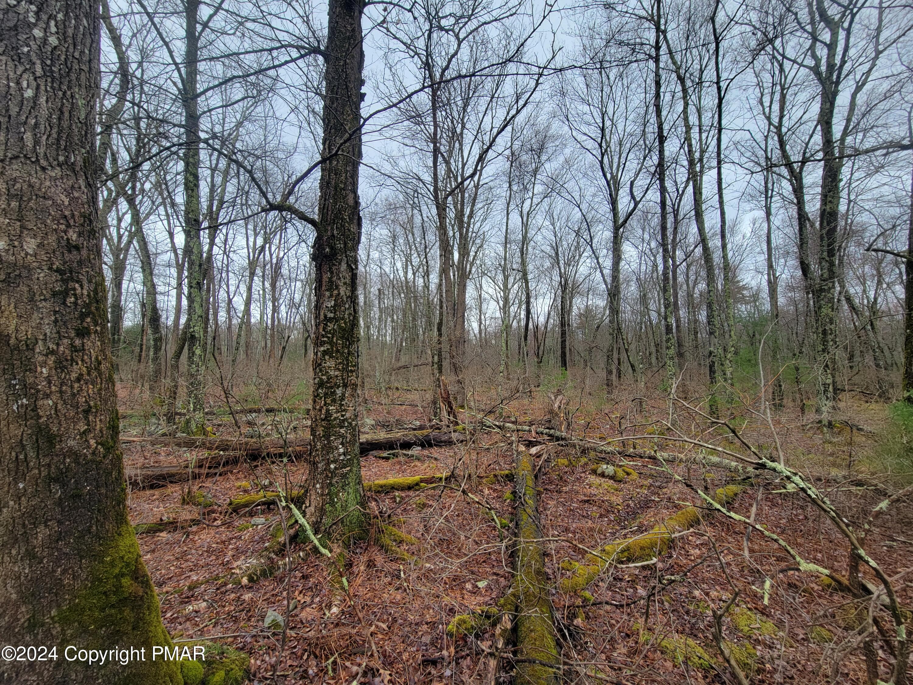 Towards the Rear of Lot - PA-739, Dingmans Ferry, PA 18328, Dingmans Ferry