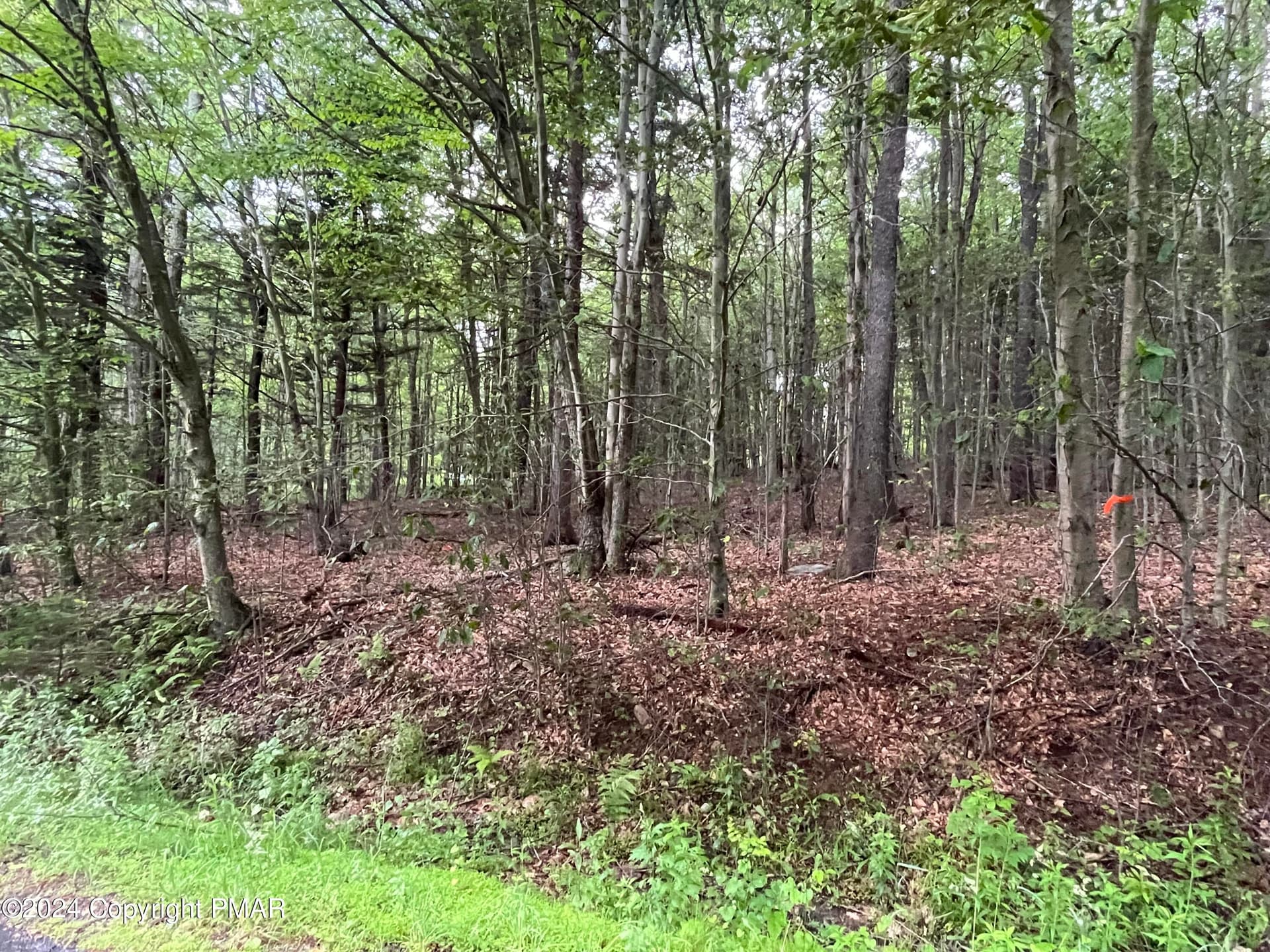 Street View - 131 Cardinal - 2229 Drive, Clifton Township, PA 18424