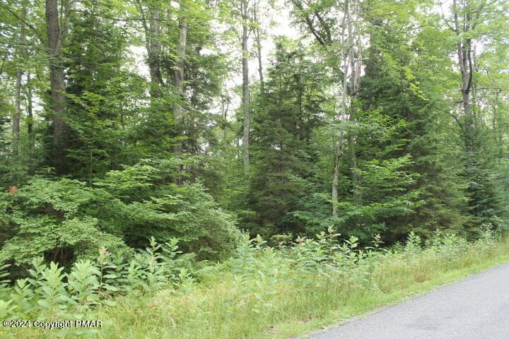 517 E Forest Road, Pocono Lake, PA 18347