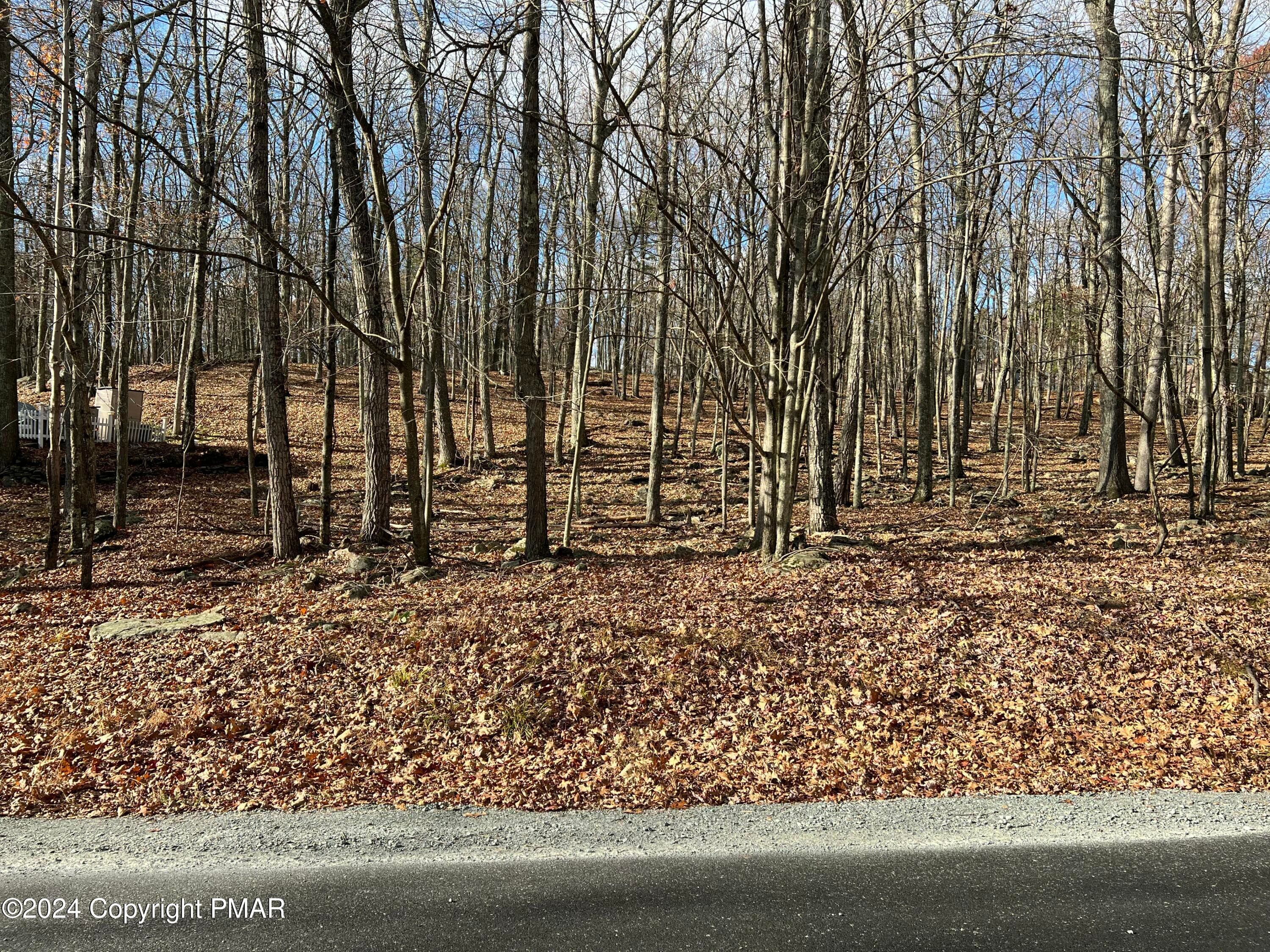 229 Forest Ridge Drive, Hawley, PA 18428