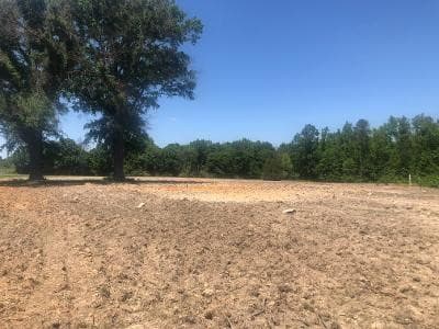 Photo 3 - 6035 Burlington Road, Sedalia, NC 27249