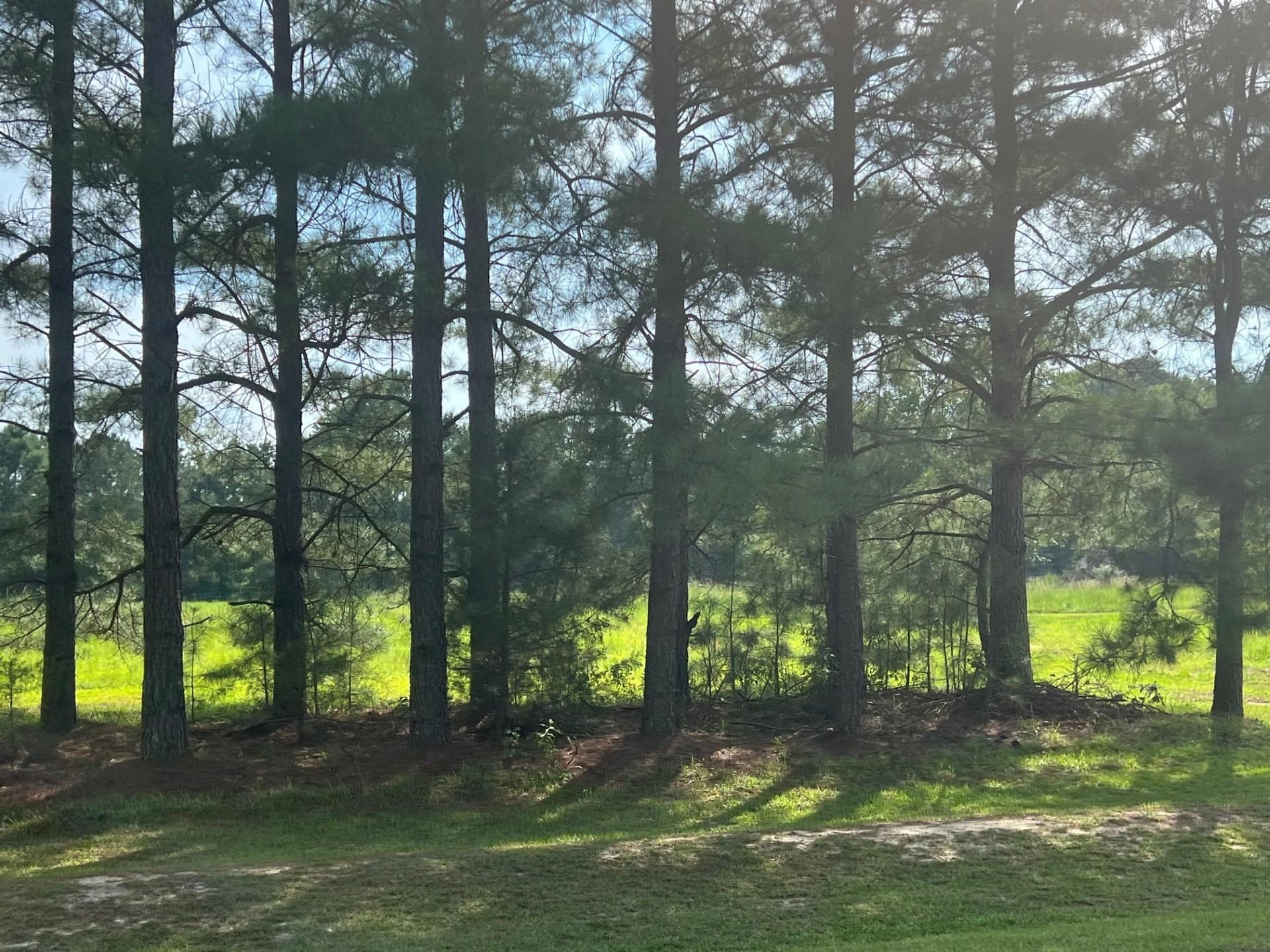 Photo 4 - 3466 Matthews Mill Pond Road, Angier, NC 27501