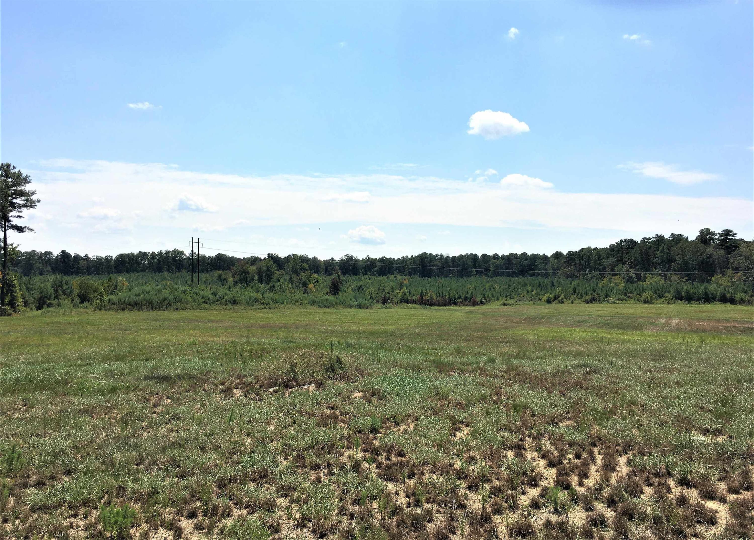 Photo 13 - 3125 W Third Street, Siler City, NC 27344