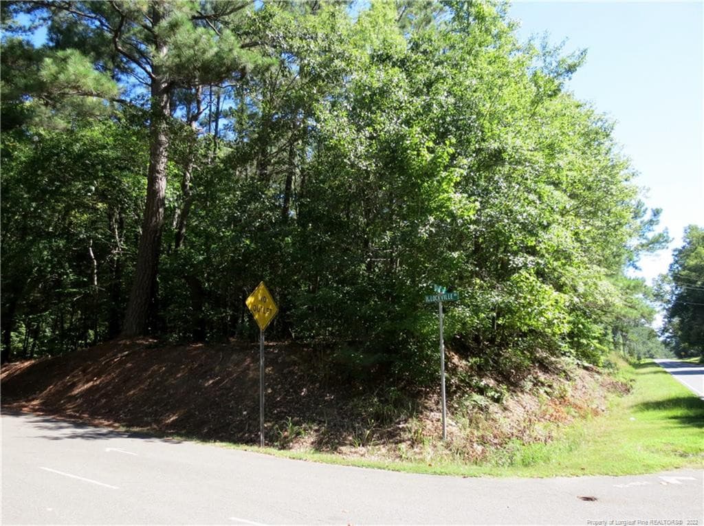 View towards Moncure - 30 Lockville Road, Moncure, NC 27559