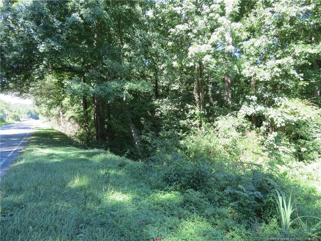 View towards Deep River - 30 Lockville Road, Moncure, NC 27559