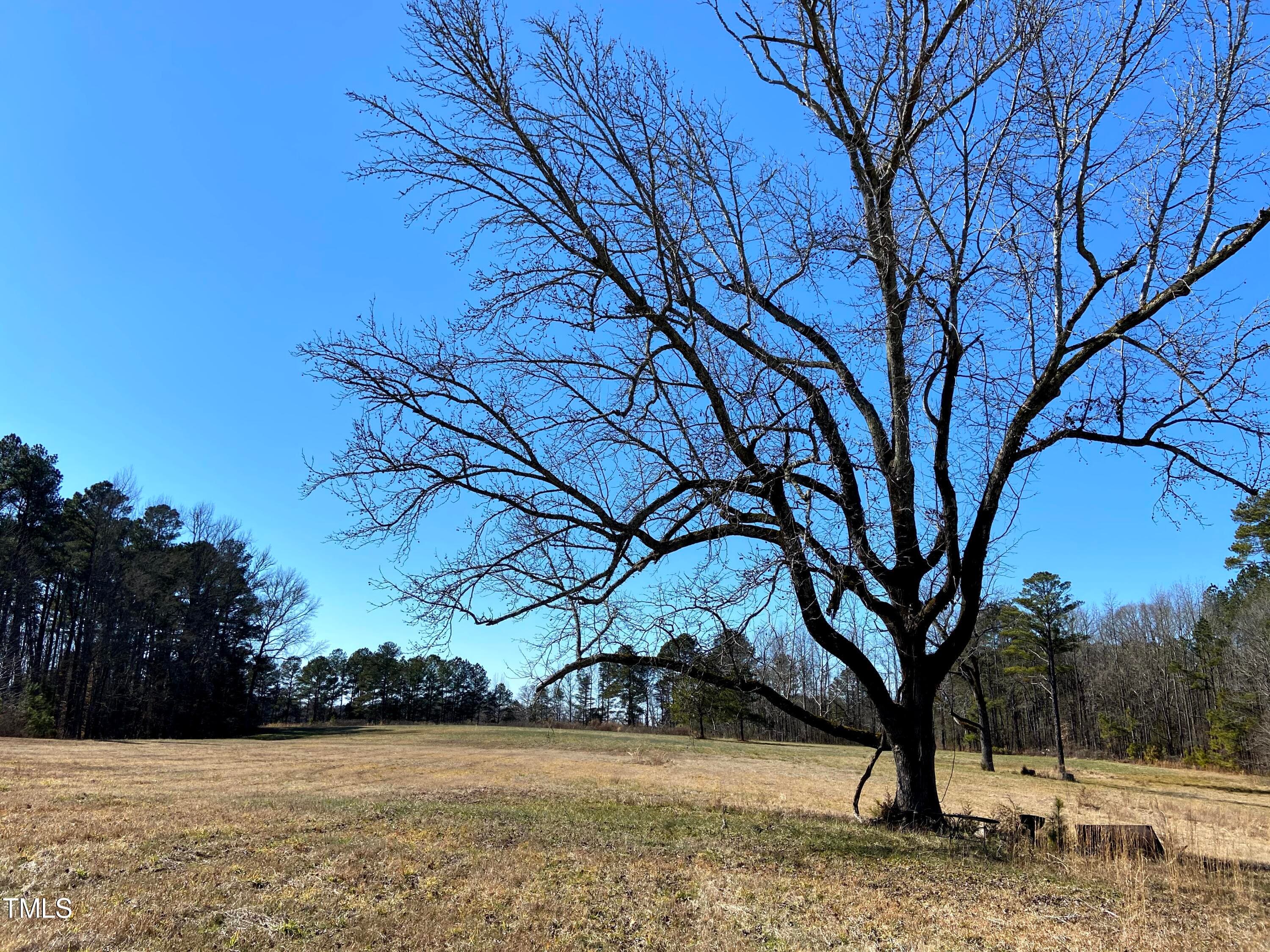 IMG_5766 - 2523 Hamlin Road, Durham, NC 27704, Durham