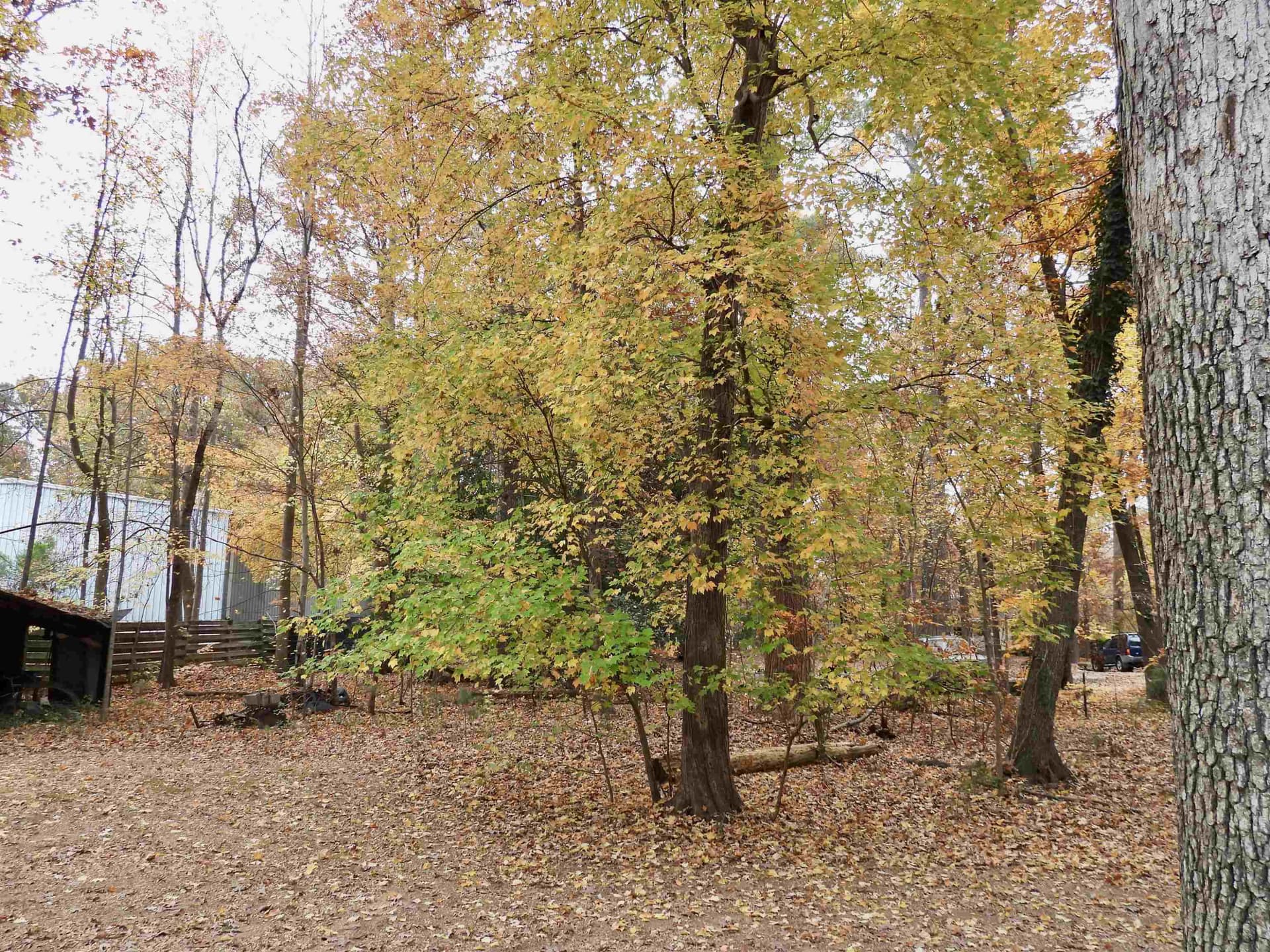 Photo 42 - 3007 Old Raleigh Road, Apex, NC 27502