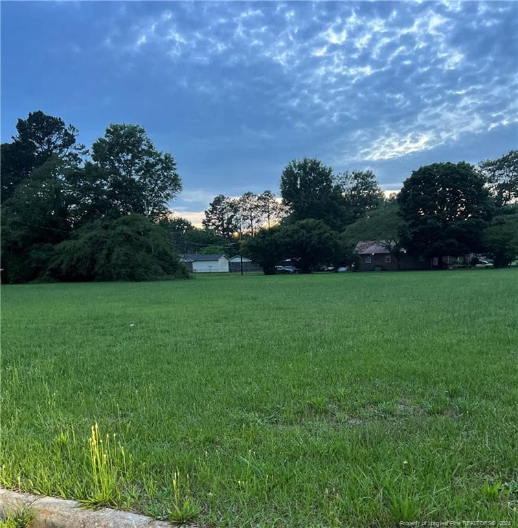 Photo 4 - 00 S Stewartsville Road S, Laurinburg, NC 28352, Laurinburg