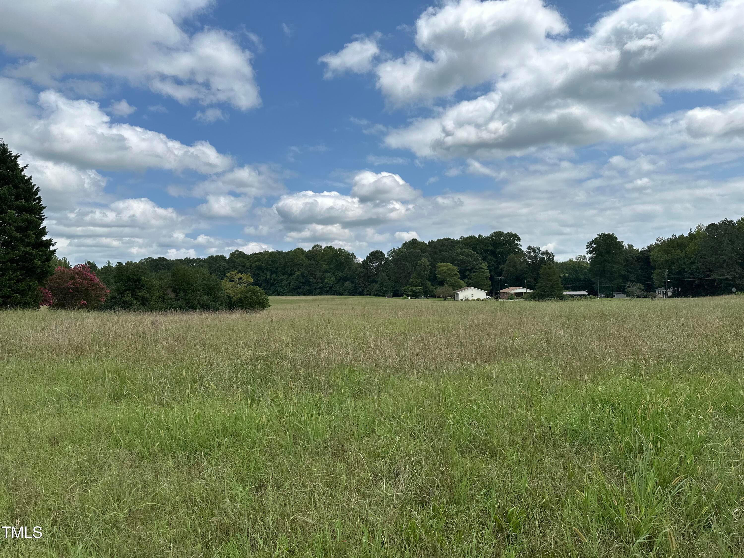IMG_2667 - 0 Hwy 86, Cedar Grove, NC 27231