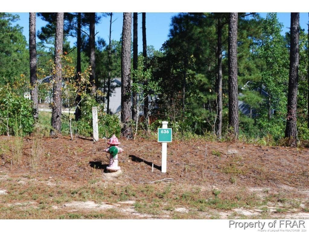 Photo 2 - 162 Broadlake (636) Lane, Spring Lake, NC 28390