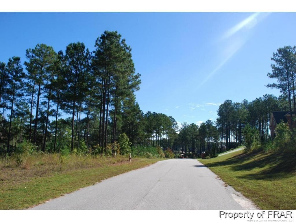 Photo 9 - 162 Broadlake (636) Lane, Spring Lake, NC 28390