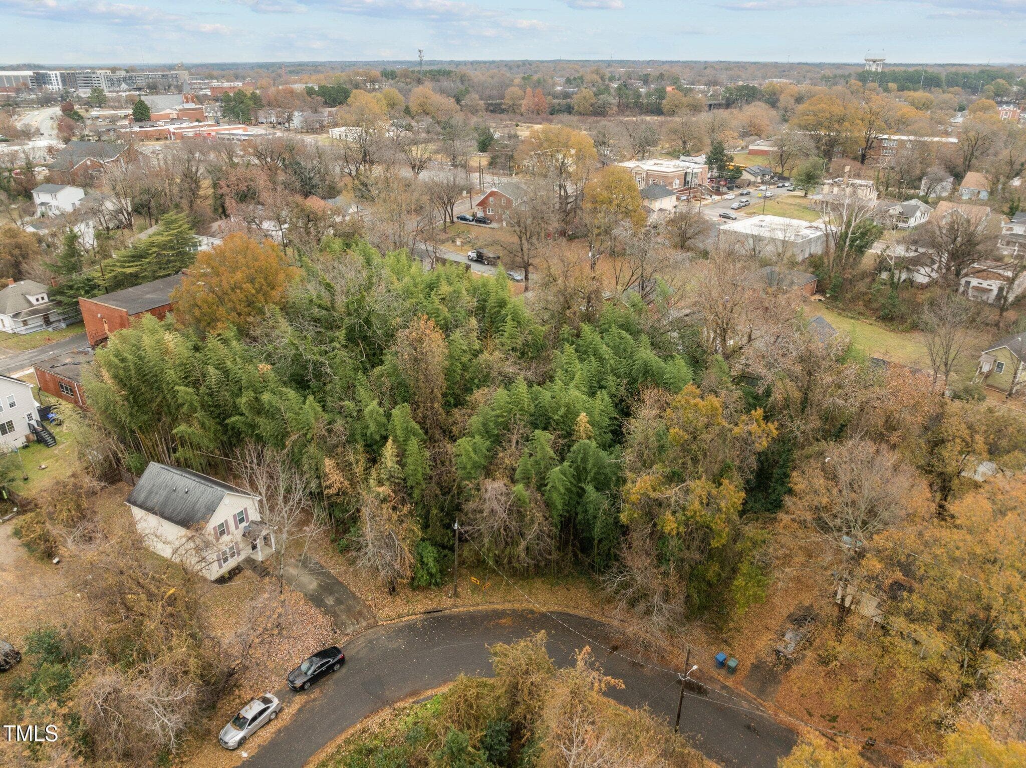 2-web-or-mls-DJI_0322 - 1203 Avery Street, Durham, NC 27707, Durham
