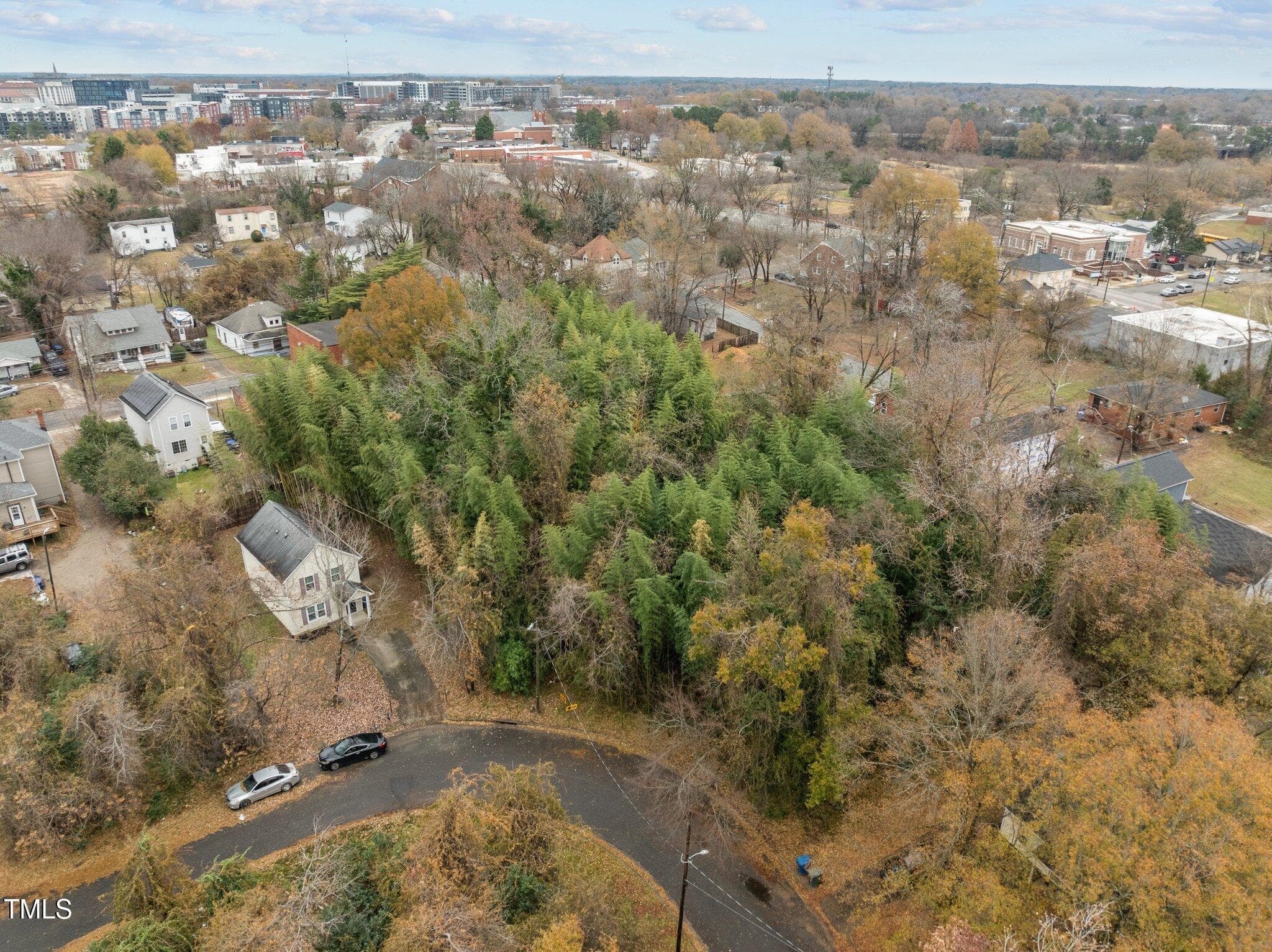 3-web-or-mls-DJI_0323 - 1203 Avery Street, Durham, NC 27707, Durham