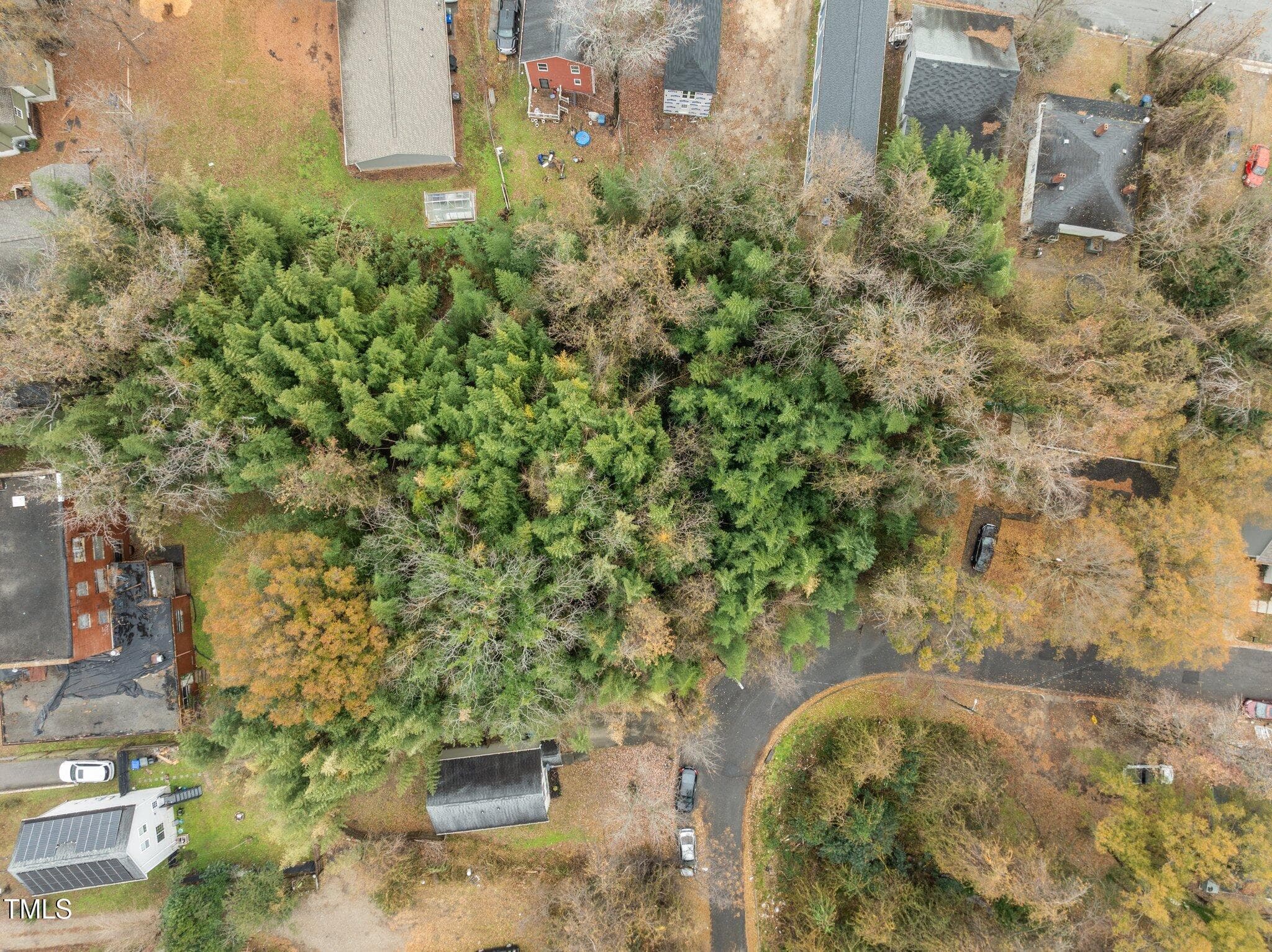 7-web-or-mls-DJI_0327 - 1203 Avery Street, Durham, NC 27707, Durham