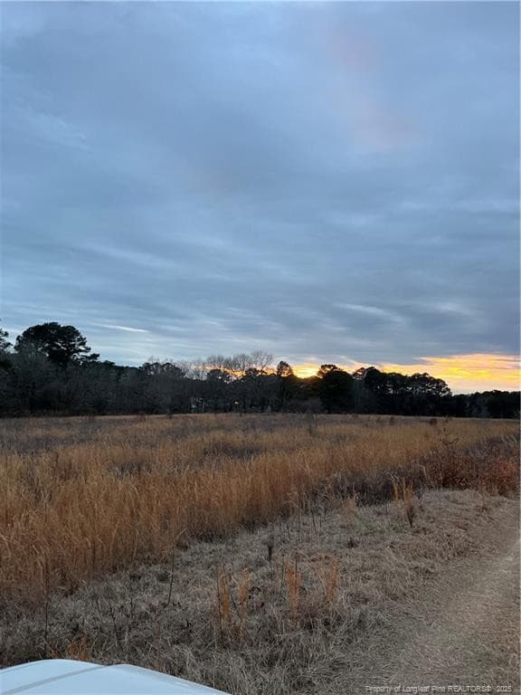 Photo 2 - TBD Hwy 87/ Broadway Rd. Road, Sanford, NC 27330