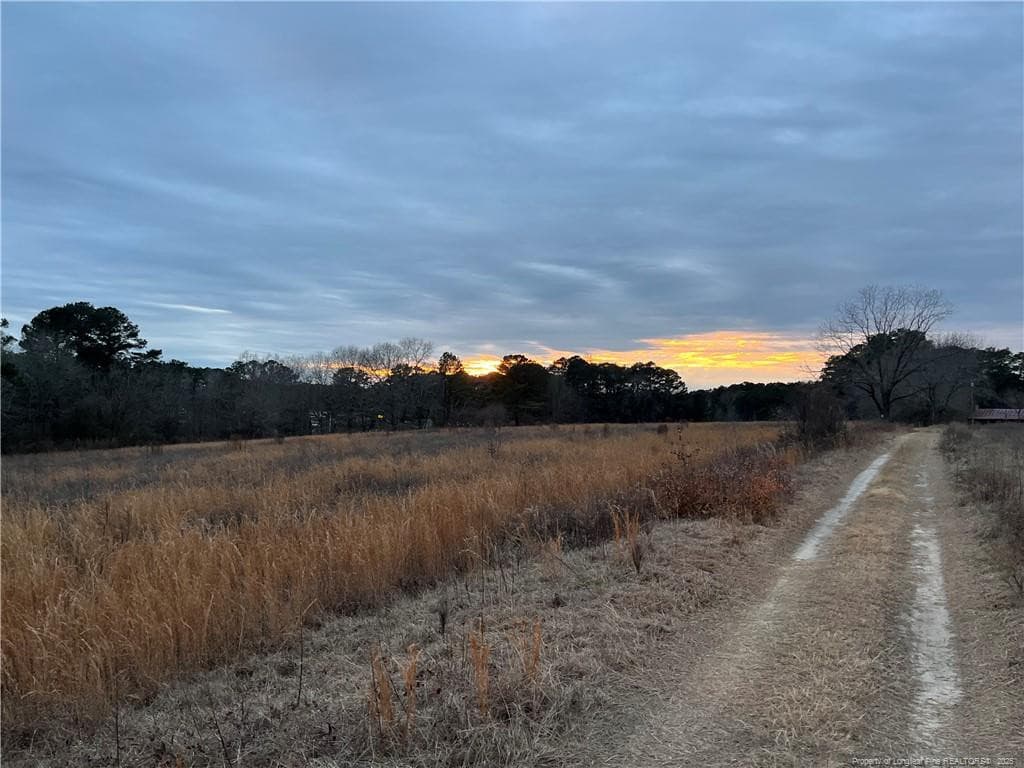 Photo 6 - TBD Hwy 87/ Broadway Rd. Road, Sanford, NC 27330