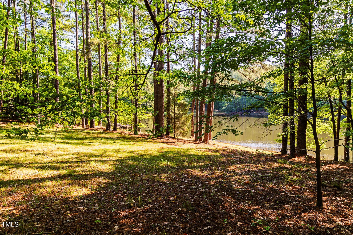 10305 Old Creedmoor Road-10 - 10305 Old Creedmoor Road, Raleigh, NC 27613, Raleigh