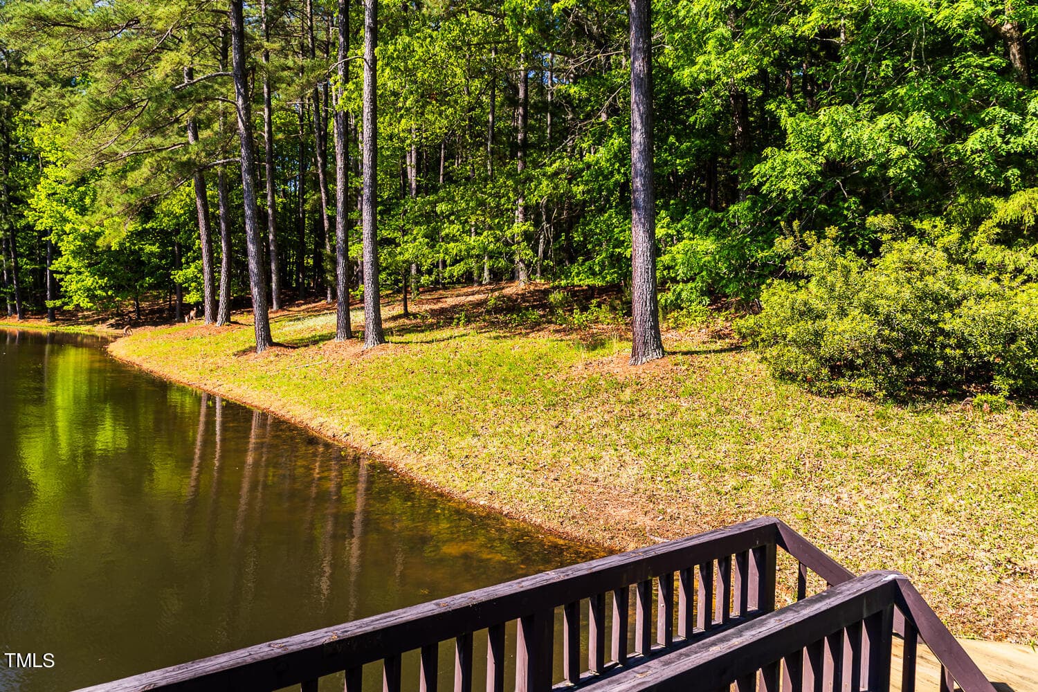 10305 Old Creedmoor Road-17 - 10305 Old Creedmoor Road, Raleigh, NC 27613, Raleigh