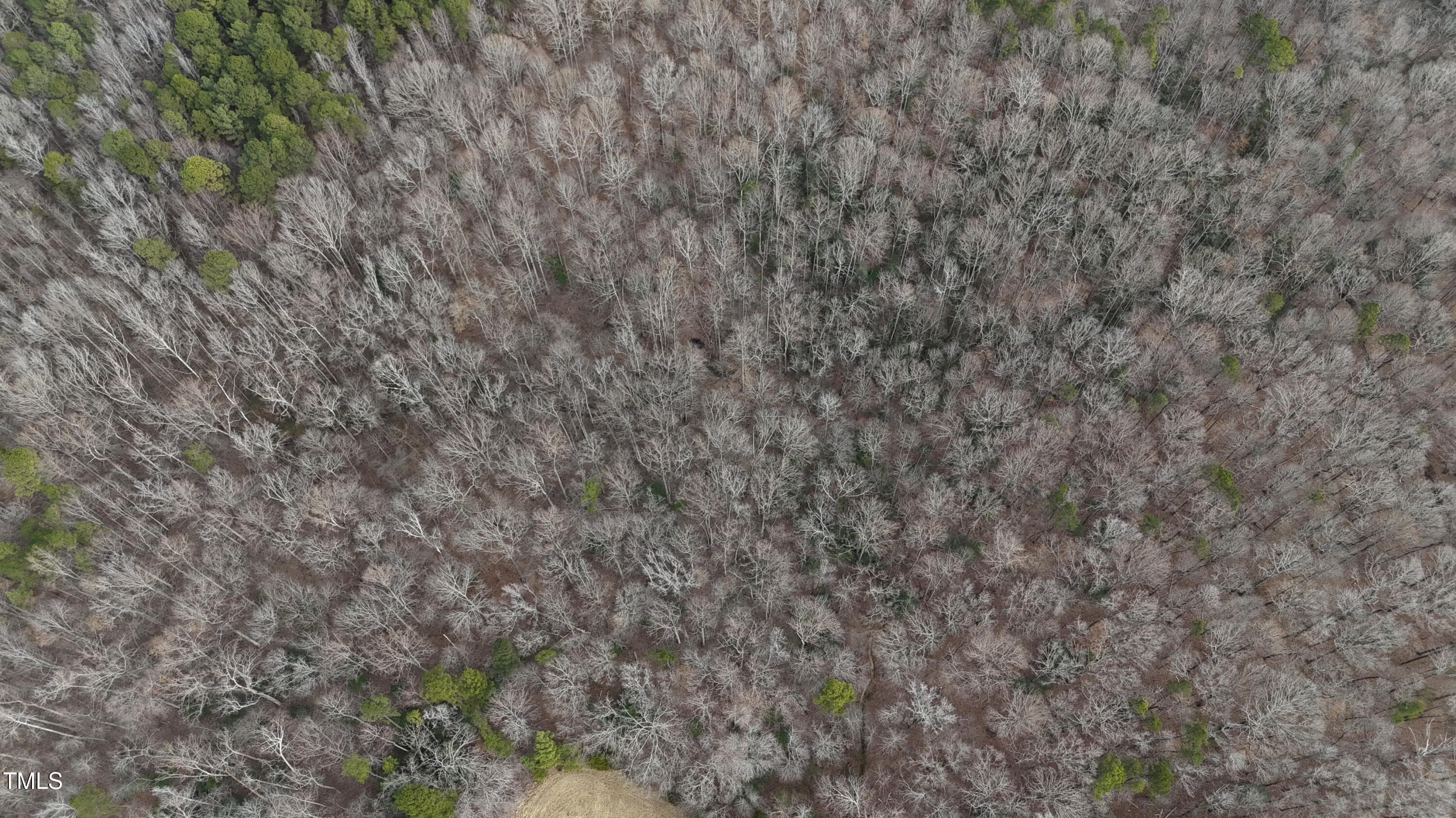 DJI_20250130125956_0064_D - Tbd Siler City Snow Camp Road, Siler City, NC 27344