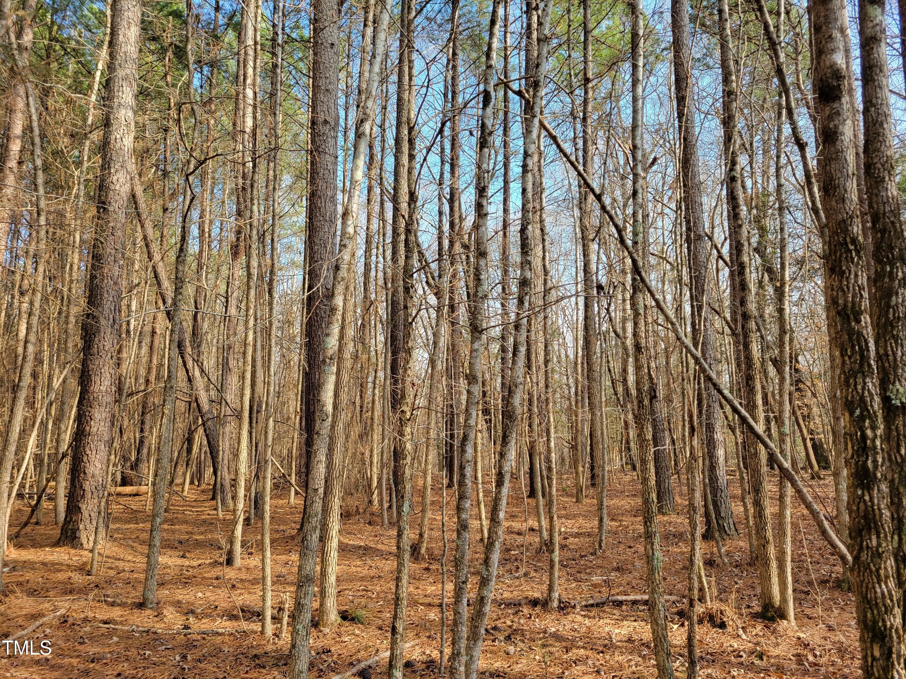 20250206_144520 - Tbd Siler City Snow Camp Road, Siler City, NC 27344