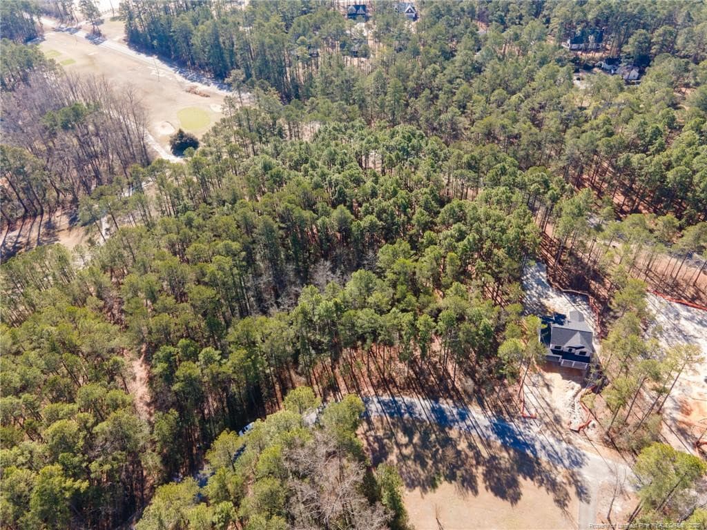 Photo 4 - #4 Caddie Court, Wagram, NC 28396