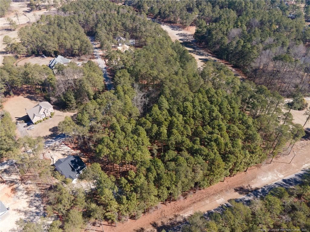 Photo 5 - #4 Caddie Court, Wagram, NC 28396