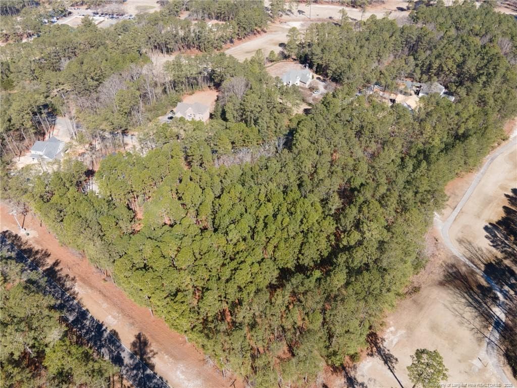 Photo 7 - #4 Caddie Court, Wagram, NC 28396