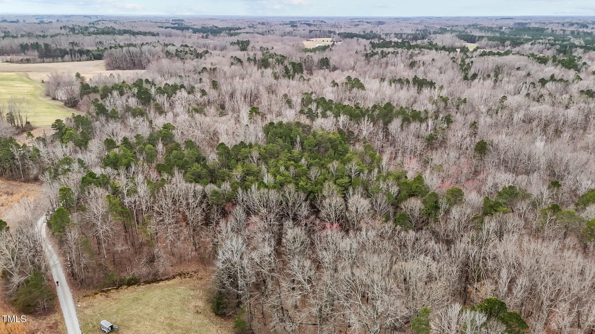 15-web-or-mls-DJI_20250310153338_0038_D - 8729 Lot B Allison Road, Cedar Grove, NC 27231