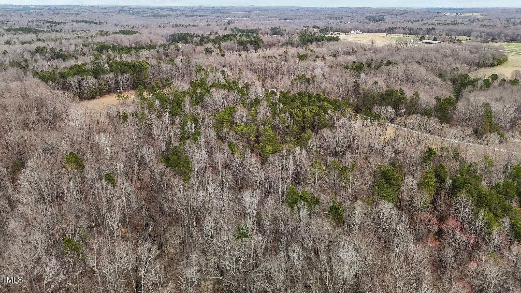22-web-or-mls-DJI_20250310161740_0055_D - 8729 Lot B Allison Road, Cedar Grove, NC 27231