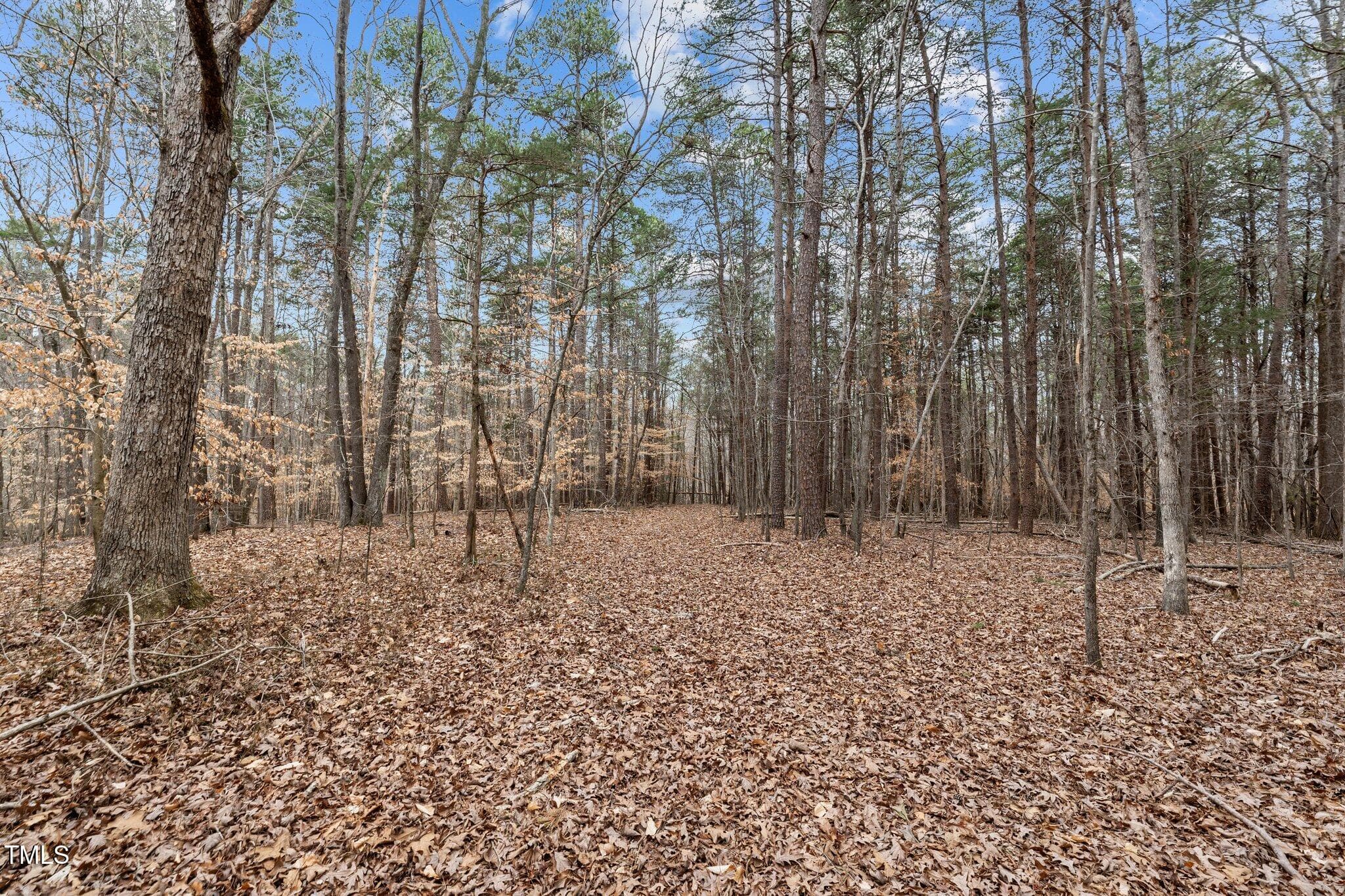 9-web-or-mls-_1190495 - 8729 Lot B Allison Road, Cedar Grove, NC 27231