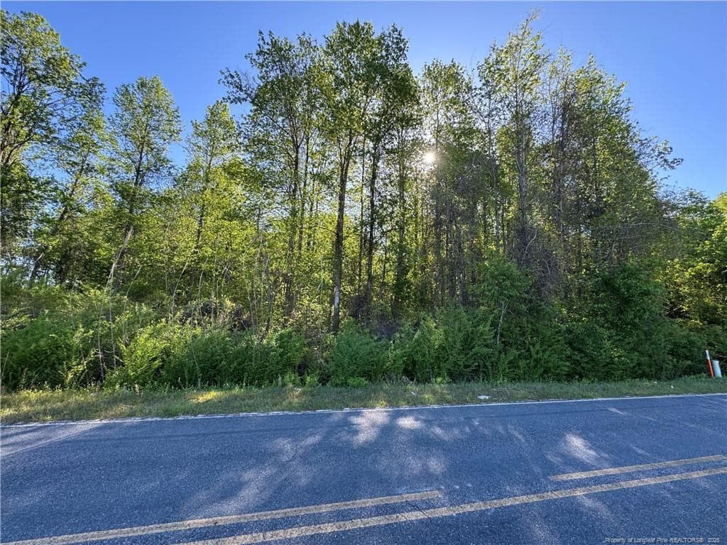 McBryde Mill Road, Red Springs, NC 28377