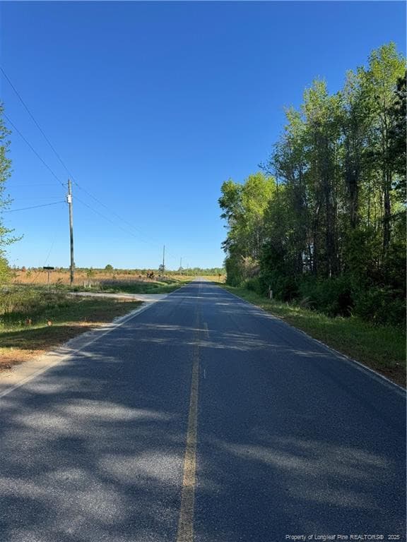 Photo 4 - McBryde Mill Road, Red Springs, NC 28377