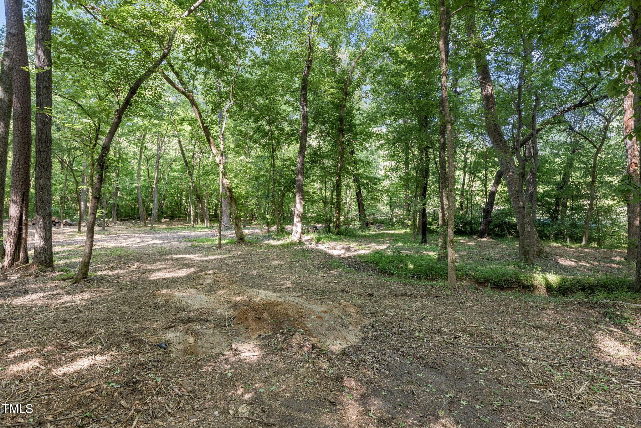 9-web-or-mls-8Y3A5277 - Lot 2 Helena Moriah Road, Timberlake, NC 27583