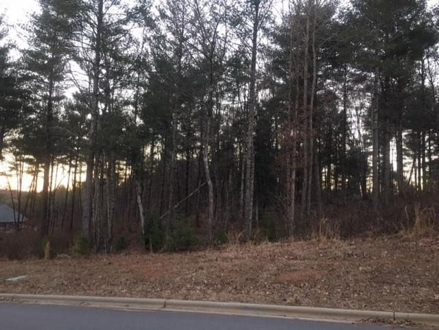 Photo 4 - 1057 Lakeside Way NW, Valdese, NC 28690, Valdese