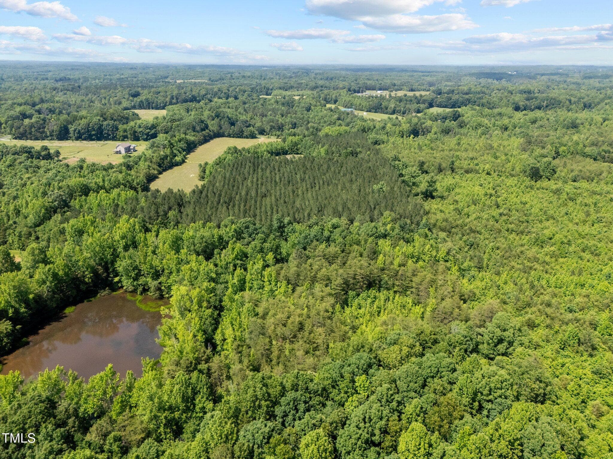 8-web-or-mls-DJI_20250521145922_0075_D - 112 Scnobia Taylor Road, Cedar Grove, NC 27231