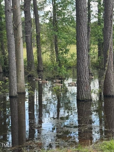 Bealsey 1 - 0 Beasley Road, Benson, NC 27504