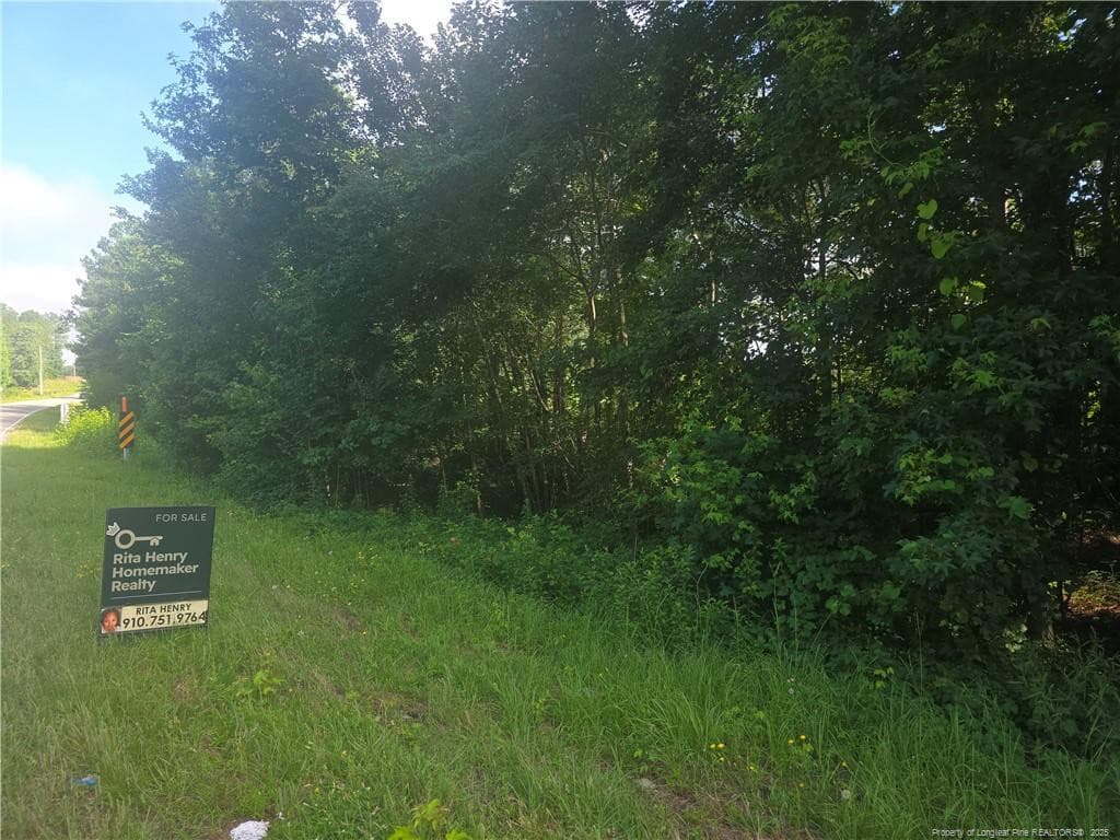 Photo 3 - Rockfish Road, Raeford, NC 28376, Raeford