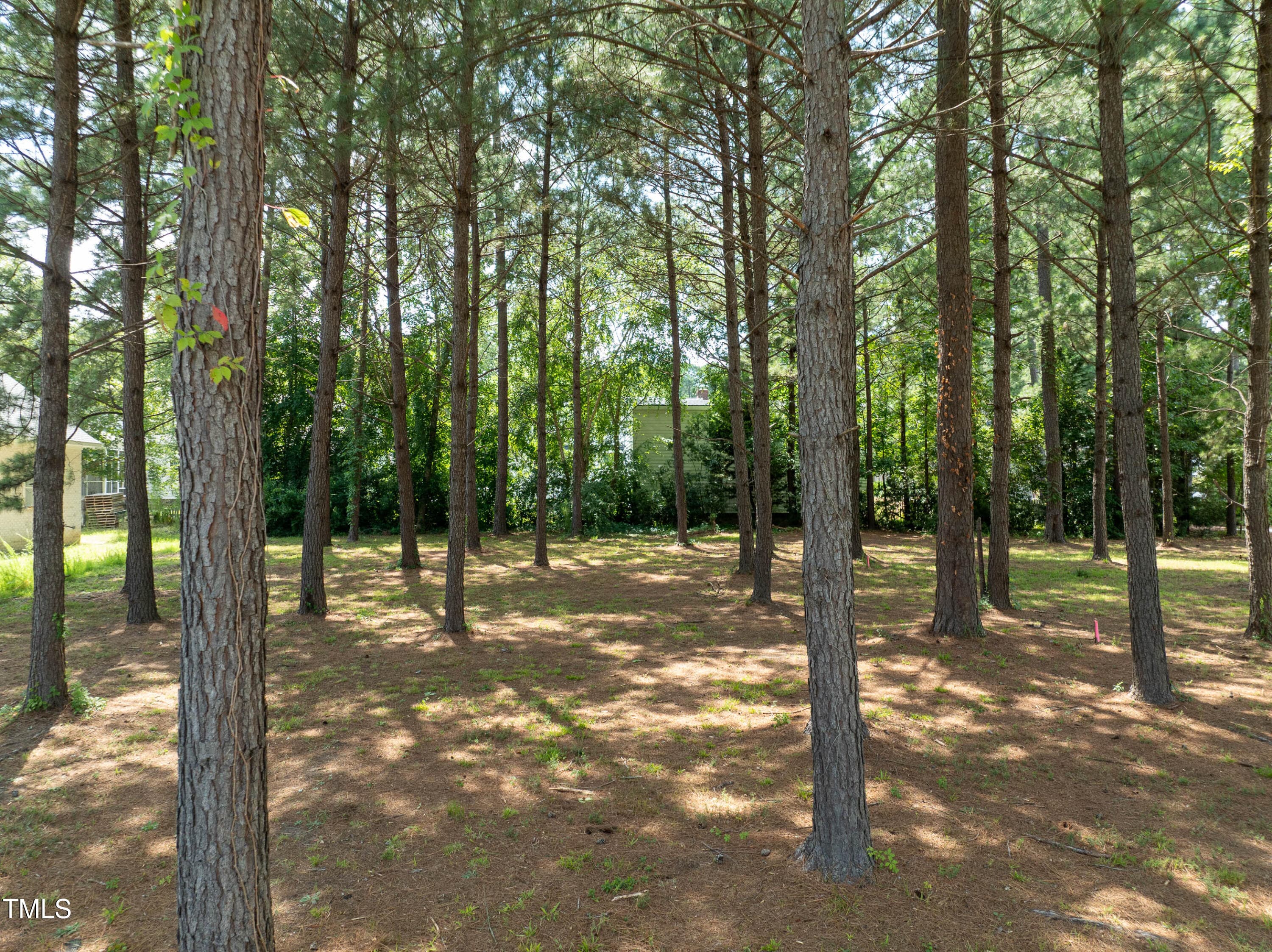 1124 Azalea Ln MLS-6 - 1124 Azalea Lane NW, Wilson, NC 27893