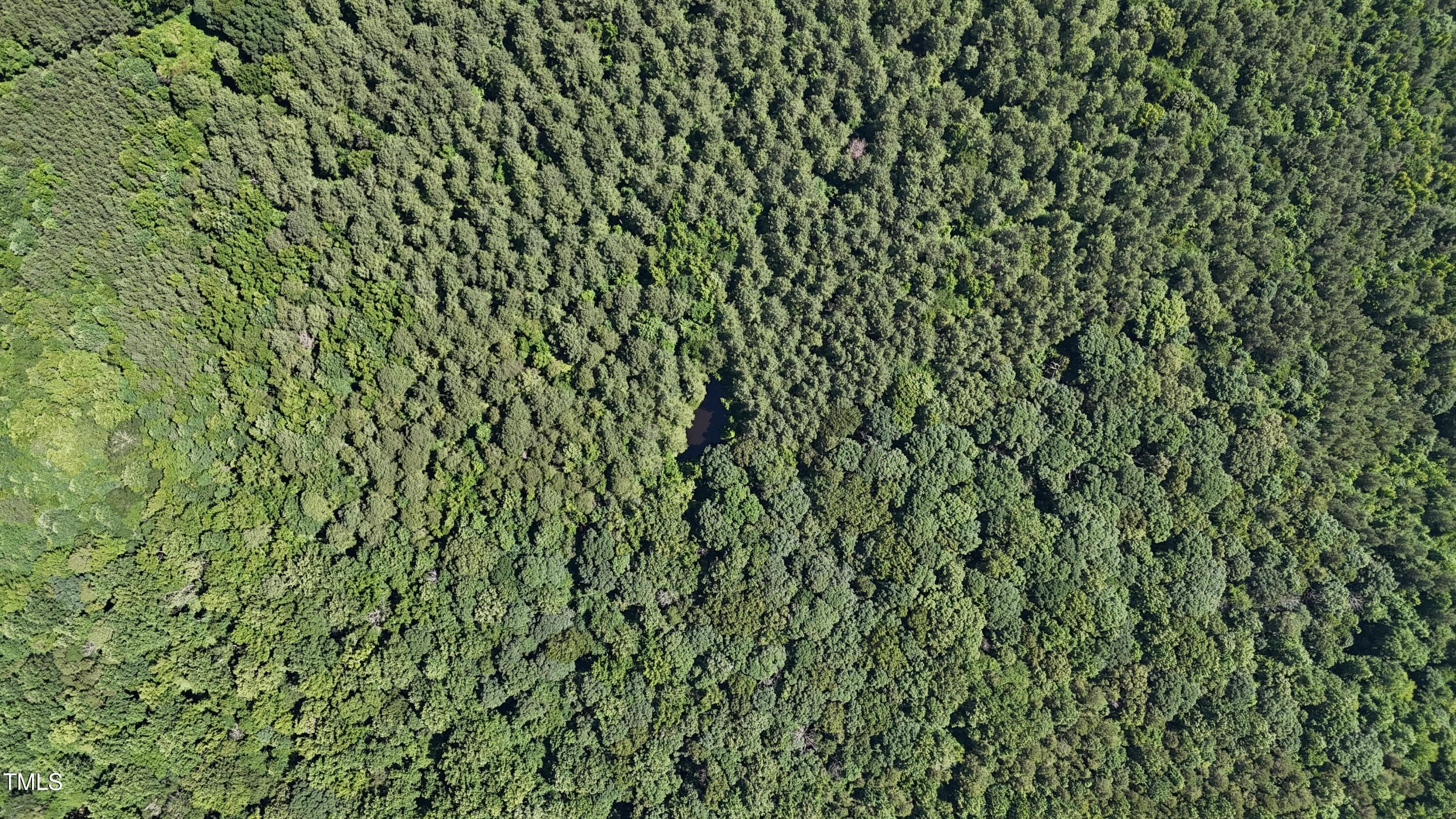 DJI_20250620110710_0094_D - Tbd Siler City Snow Camp Road, Siler City, NC 27344