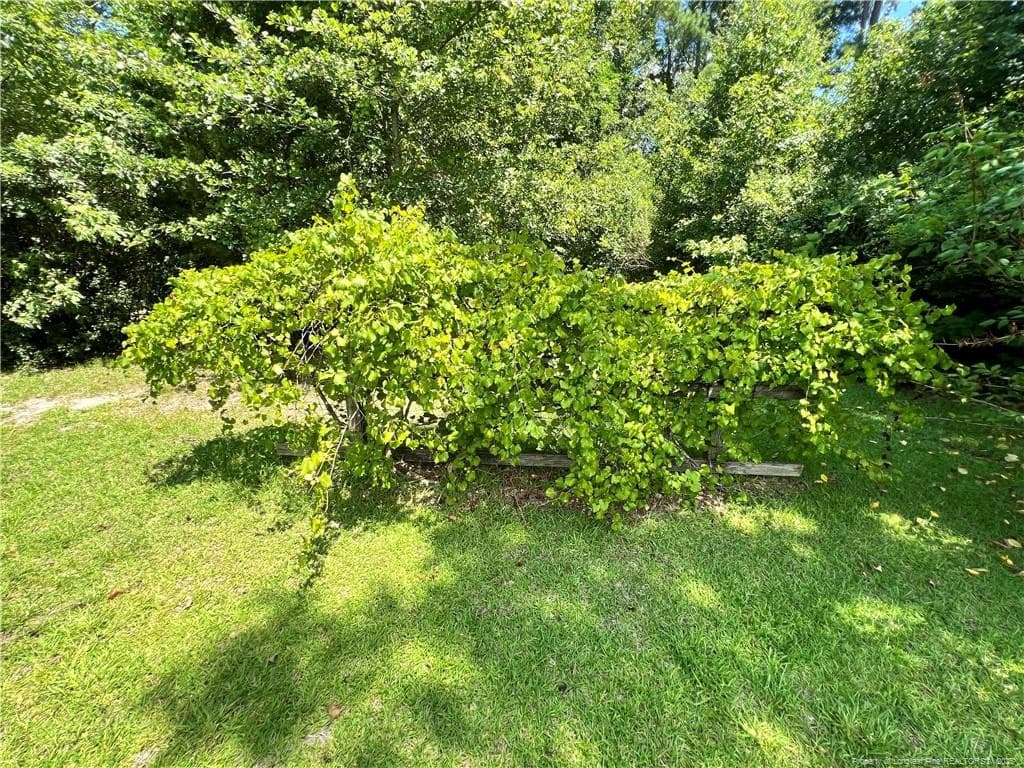 Photo 14 - 510 ARRINGTON Street, Rowland, NC 28383