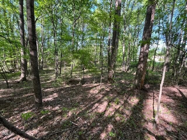 4304 Cheek towards easement - 4300-4304 Cheek Road, Durham, NC 27704