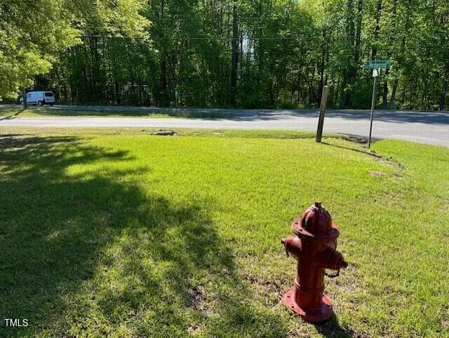 Hydrant to the North on Ardsley - 4300-4304 Cheek Road, Durham, NC 27704