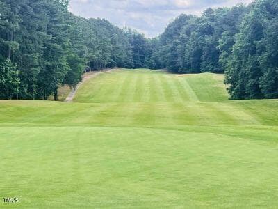 A Green - 118 Rustler Road, Louisburg, NC 27549, Louisburg